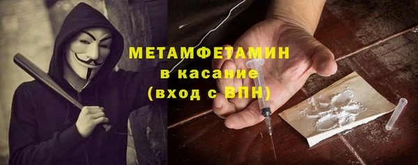 шишки Костерёво