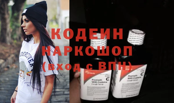 ешки Корсаков