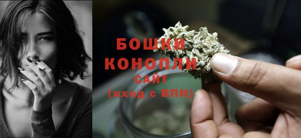 твердый Козловка