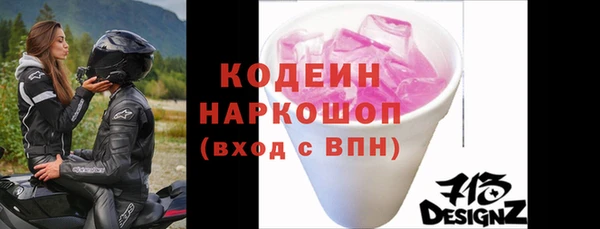 ешки Корсаков