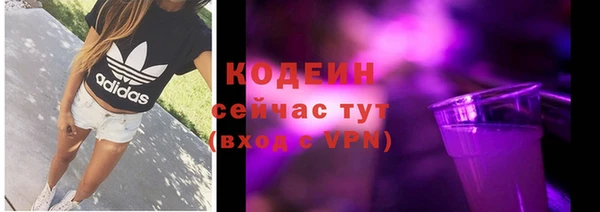 твердый Козловка