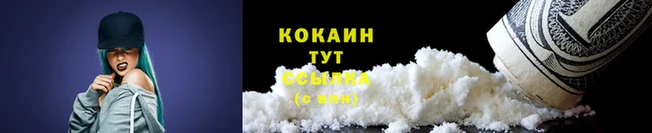 твердый Козловка