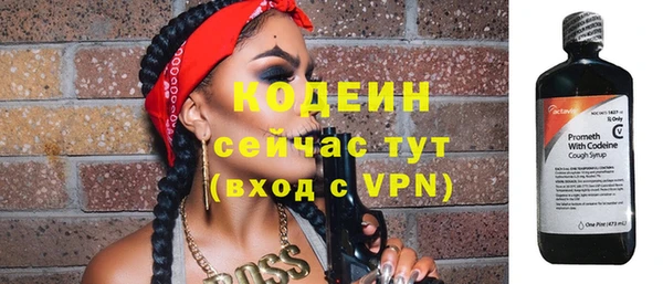 гидра Коряжма