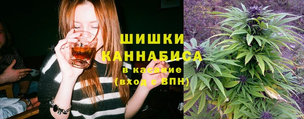 ешки Корсаков