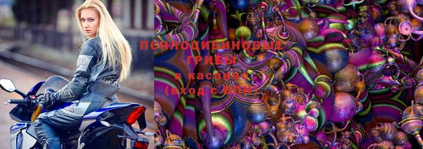 шишки Костерёво