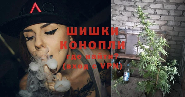 гидра Коряжма
