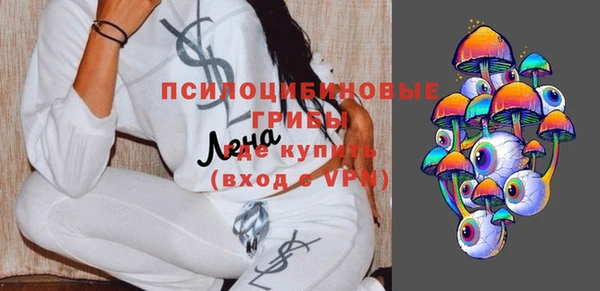 ешки Корсаков