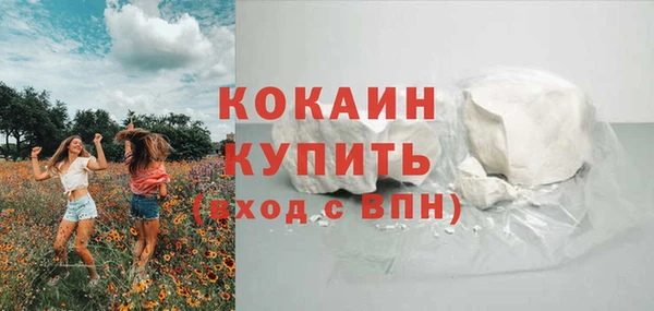 шишки Костерёво