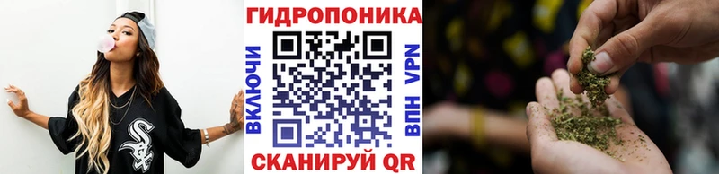 Купить закладки  Кяхта  Бошки марихуана ГИДРОПОН 